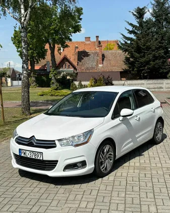 citroen kołobrzeg Citroen C4 cena 22570 przebieg: 254916, rok produkcji 2013 z Kołobrzeg